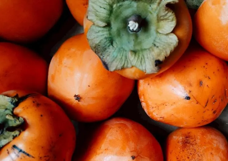 10/23霜降3生肖財星高照　命理師曝轉運避災秘訣