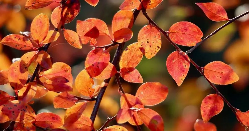 12星座本週運勢出爐！金牛看透身邊人、天蠍成為焦點