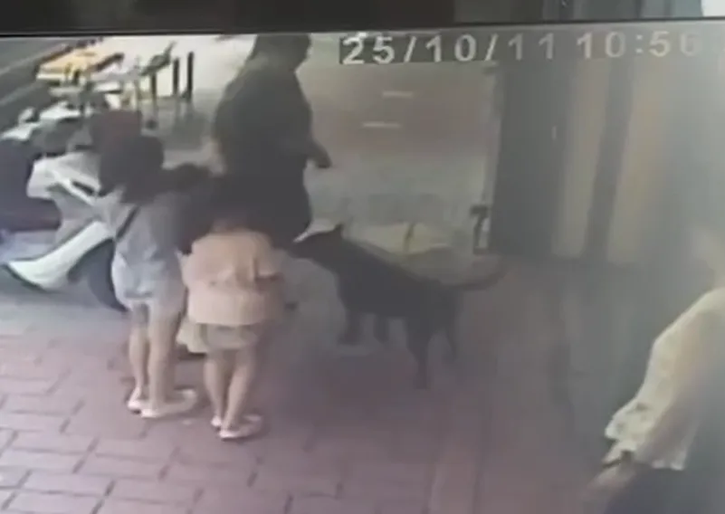影/母帶3稚女逛三義木雕街　店家黑狗突衝出咬傷2孩