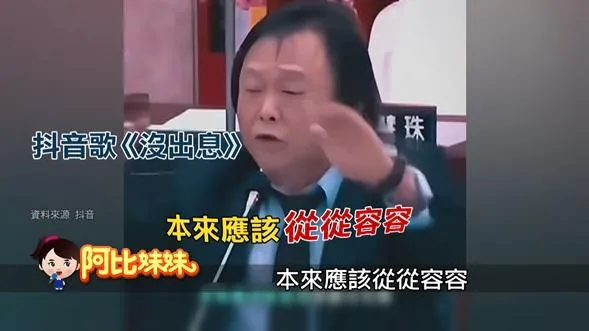 阿比妹妹/王世堅質詢金句爆紅　洗腦神曲掀兩岸模仿熱潮