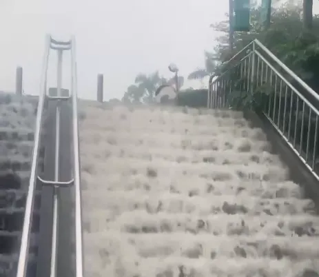 影/大雨襲擊！淡大長梯變瀑布　網歪樓：一日限定衝浪課