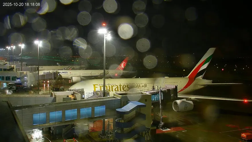 共伴效應發威！桃機4班機轉降高雄　急關南北觀景台