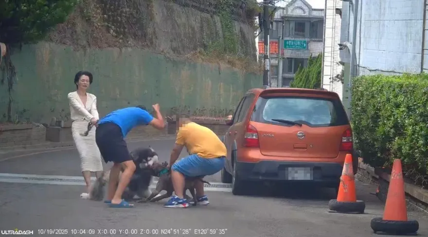 影/比特犬無繫繩！小模愛犬遭咬10公分傷口　飼主未登記恐挨罰