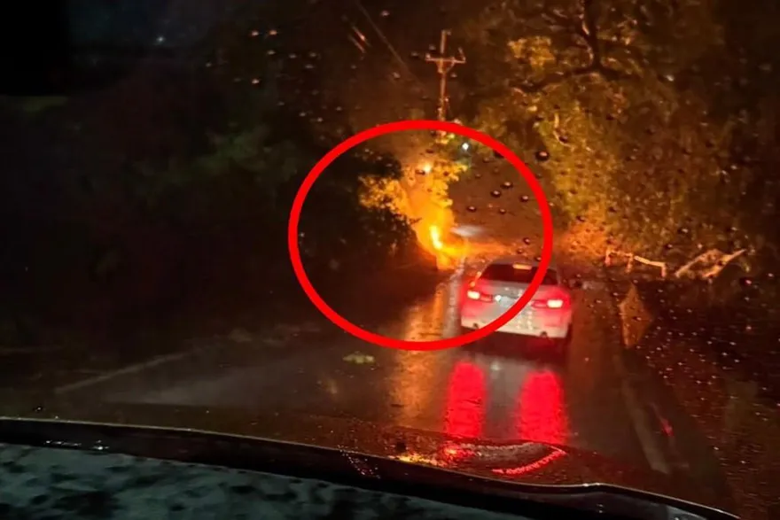 強風豪雨釀災！新北五股山區高壓電線遭吹落起火　幸無人傷亡