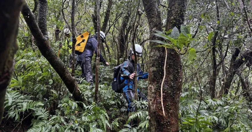 新北翁獨攀宜蘭叢雲山失聯7天　家屬懸賞50萬急尋