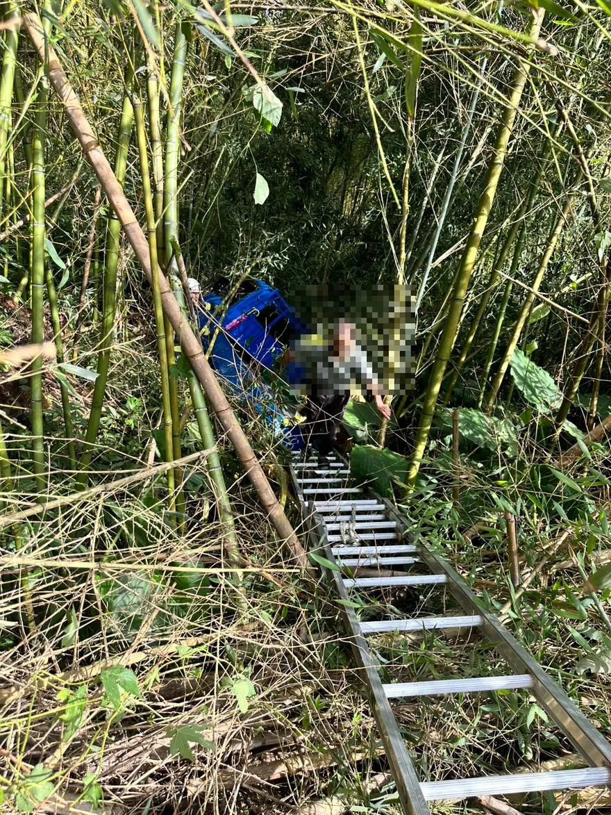 影/南投7旬老夫妻開貨車突暴衝　翻3公尺山谷卡竹林
