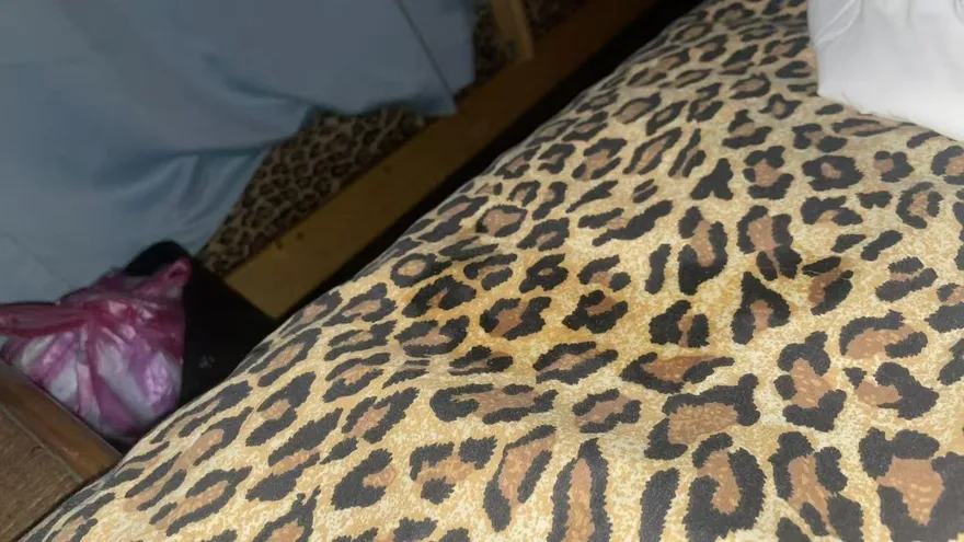 屏東旅宿少東「對女住客噴精」！辯酒後失態、遭勒令停業