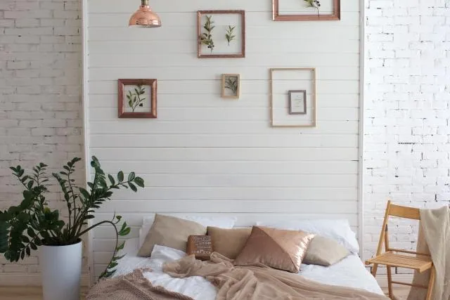 醫示警「居家６大常見致癌物」  吸進體內最難避免！