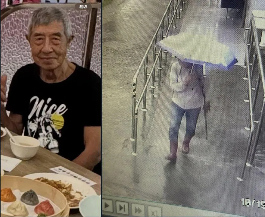 影/三峽79歲翁登叢雲山「失蹤第7日」　家屬懸賞50萬協尋