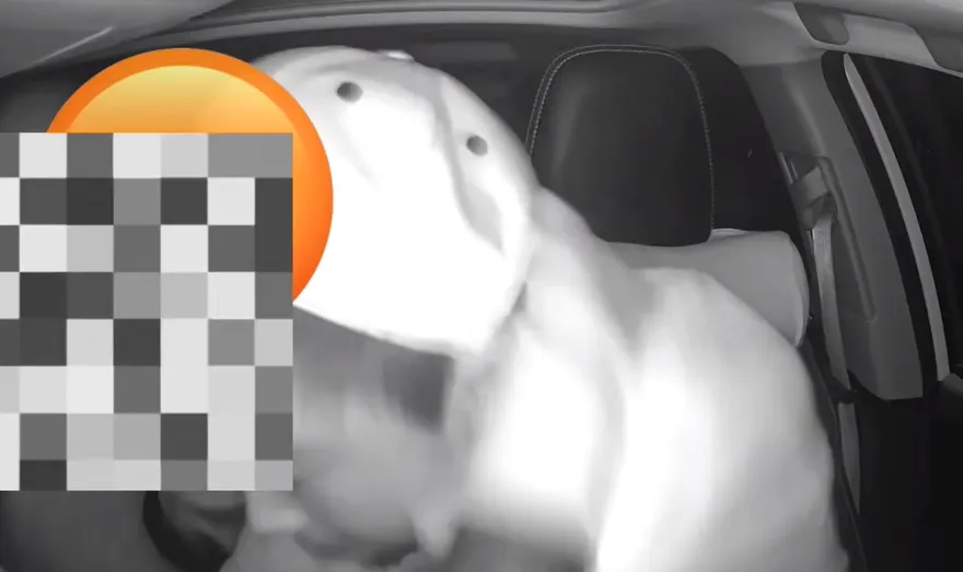 灌一拳只給1千？醉漢扁Uber司機太失控　直接被載到警局