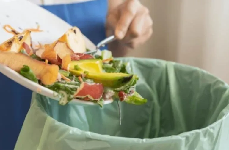 廚餘話題當紅！人妻「廚餘機」用3年電費無感　網讚爆「4優點」