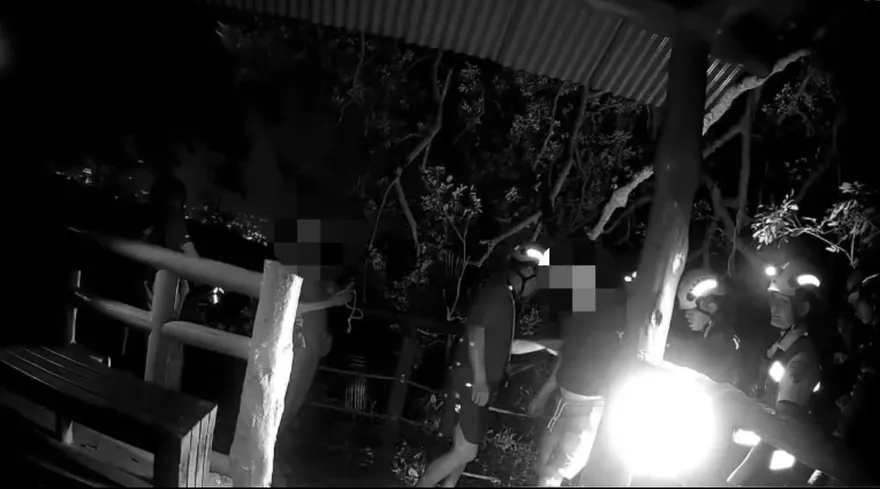 影/柴山登山遊客遭樹枝砸傷！　警消合力摸黑搜救送醫