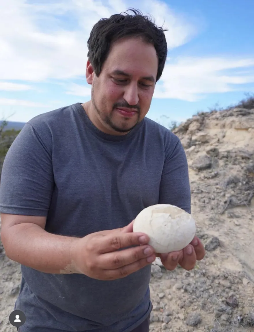 影/秘魯挖到7000萬年前恐龍蛋！出土完整「光滑如水煮蛋」