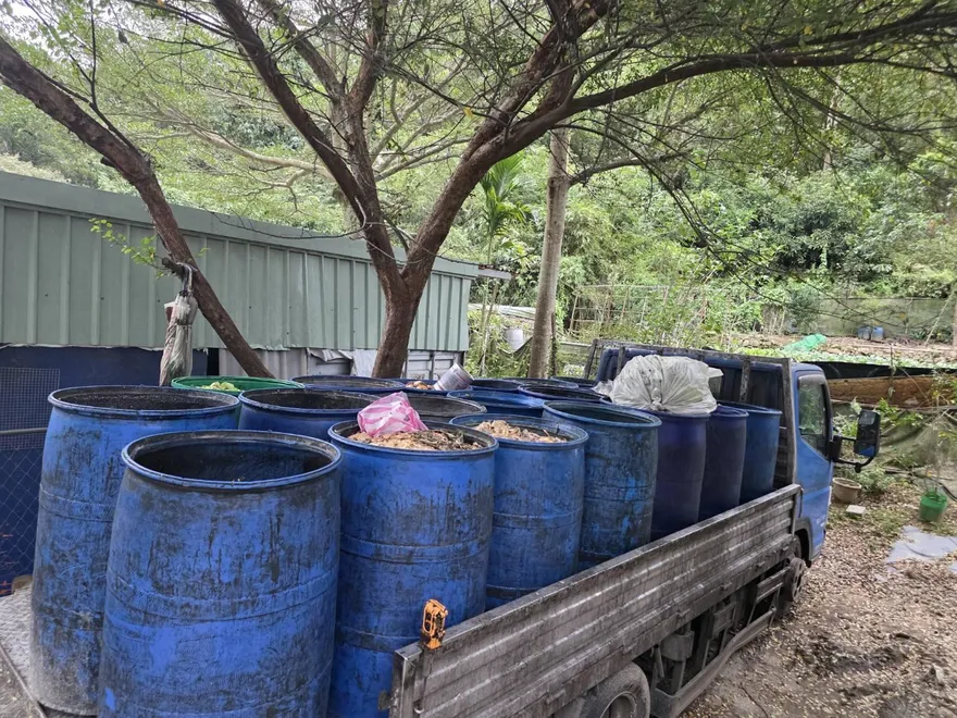 新北配合禁廚餘養豬　115年收運家戶廚餘不再分生熟