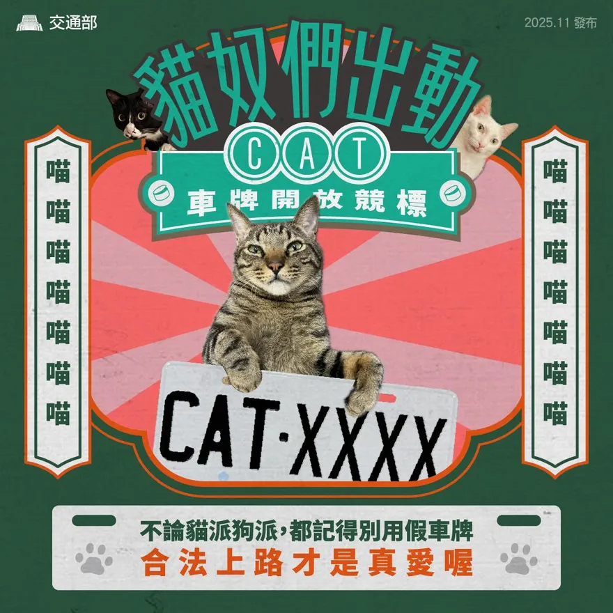 貓奴注意！夢幻車牌「CAT」11/10開標　11/12中午截止