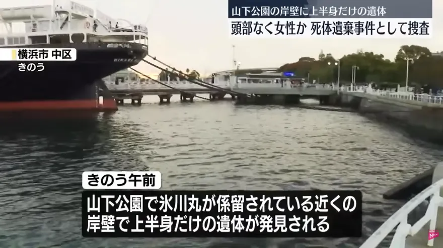 影/不是萬聖節！橫濱公園驚見人體碎片　離世數月死因不明