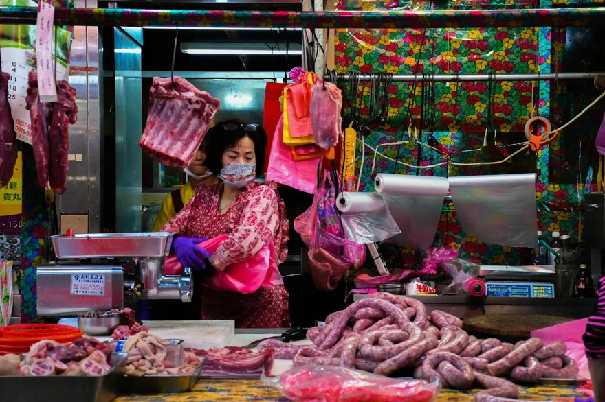 禁宰令解除！溫體豬開賣第2天　雲林拍賣豬價「飆破102元」