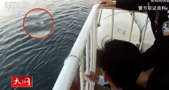 為騙保5千萬！陸男狠將妻從郵輪上推落　行兇後還在買春終伏法