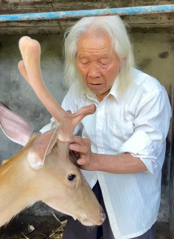 陸最孤獨動物園！8旬園長一人經營半甲子　網友「雲門票」支持