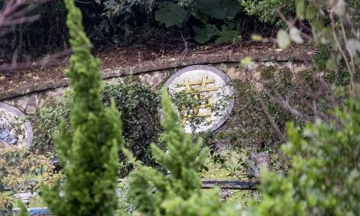 陽明山豪宅藏台鳳集團前總裁亡父墓地　二審龍巖敗訴