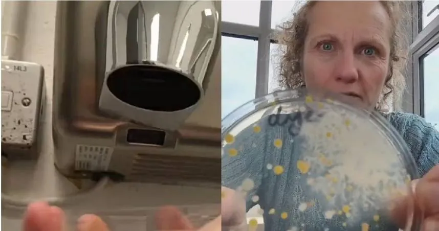 洗手後愛用烘手機？實驗揭「恐怖細菌量」　1400萬人震驚