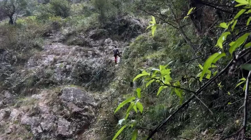 影/新北男攀郡大山墜60層樓深谷亡　搜救隊21小時運遺體下山