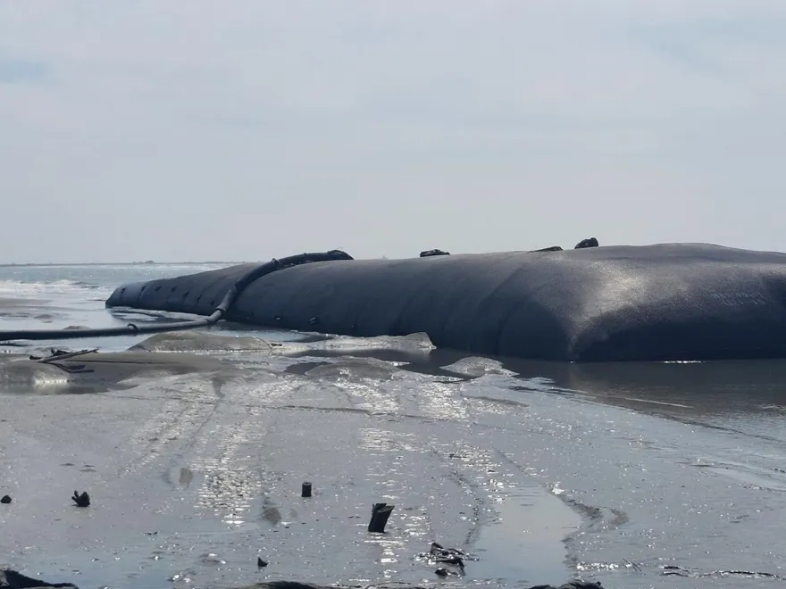 「丹娜絲」受重創「鳳凰」又來　台南七股急鋪沙腸袋堵破口