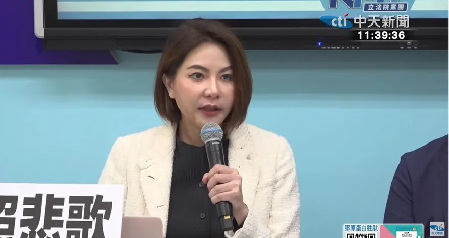 賴清德談陸武統論說法反覆　陳菁徽：布局芒果乾2.0