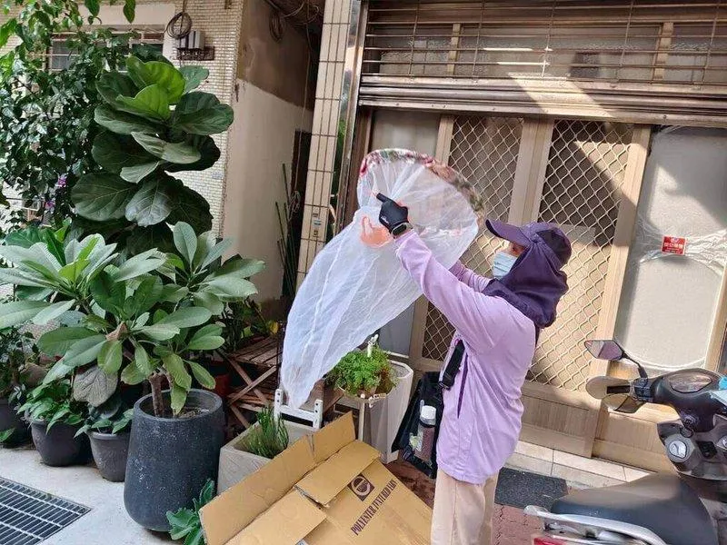 台南第17例登革熱境外移入！菲律賓男赴越南探親發病