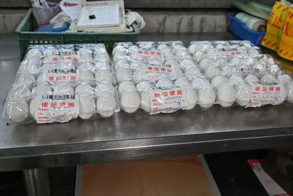 有點不敢吃蛋？　營養師曝「5食物」也能補足蛋白質！