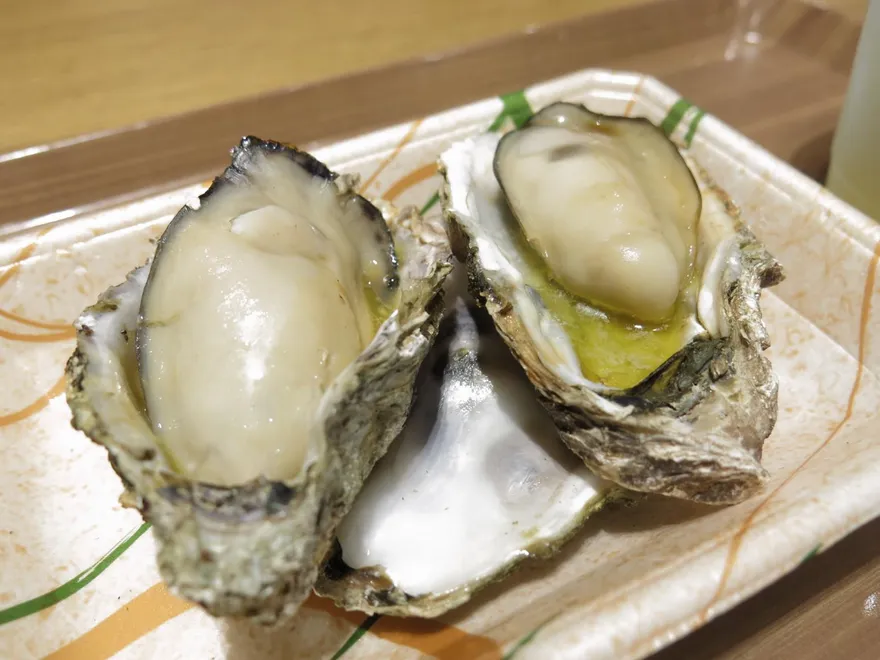 日養殖牡蠣傳災情！死亡比例高達9成　廣島知事：已是災害級別