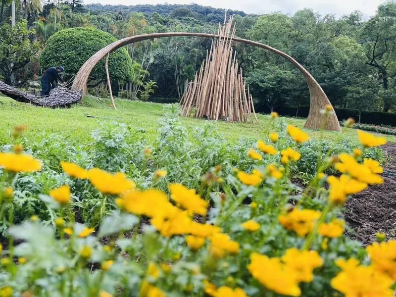 台北士林官邸菊展11/28登場　15展區訴說花藝之美