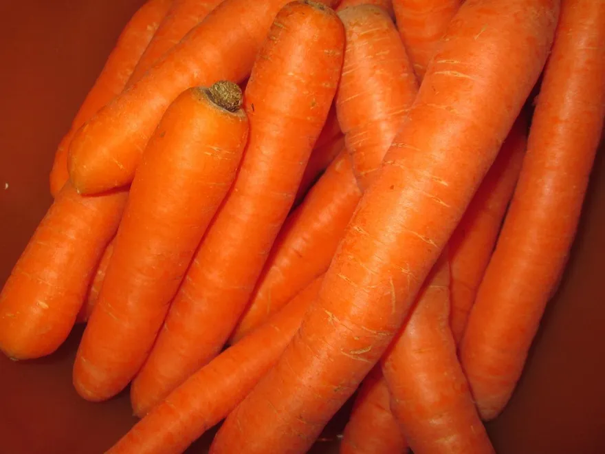 紅蘿蔔甜味不影響血糖！專家揭：升糖負荷僅3屬超低水平