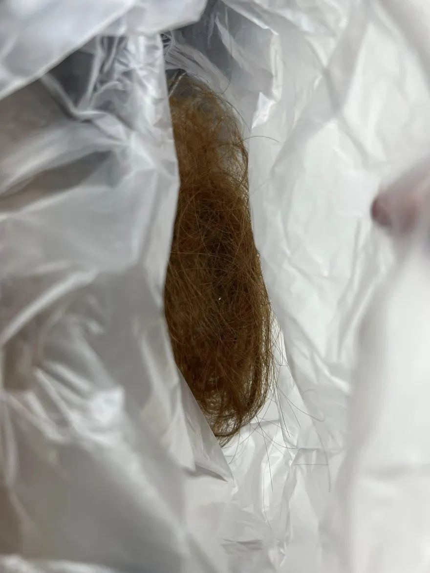 學長被撞失控！高一學妹遭拖行、當眾剪髮　新北教育局回應了