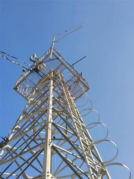 苗栗12米高「電信鐵塔」5千元競標！　警：可以拿來當聖誕樹