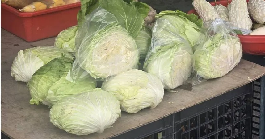 高麗菜價格崩盤！解毒又抗癌　營養師提醒「甲狀腺疾病、脹氣」少吃