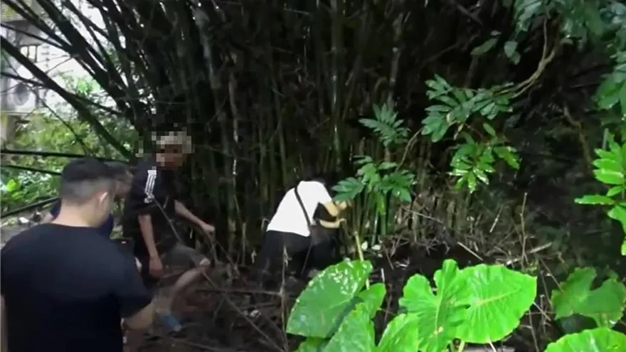 父嫌4月大兒哭鬧悶死！　藏屍6年高院撤銷緩刑