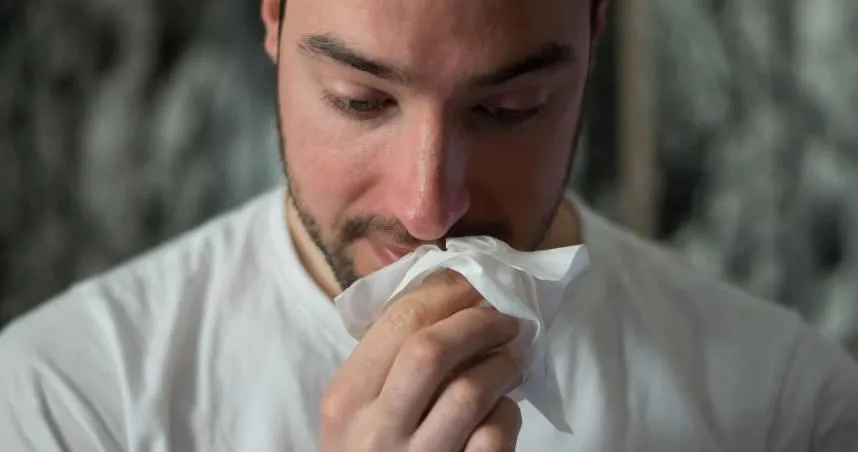 20歲男挖鼻孔出血「臉腫成豬頭」　醫示警：恐增阿茲海默症風險