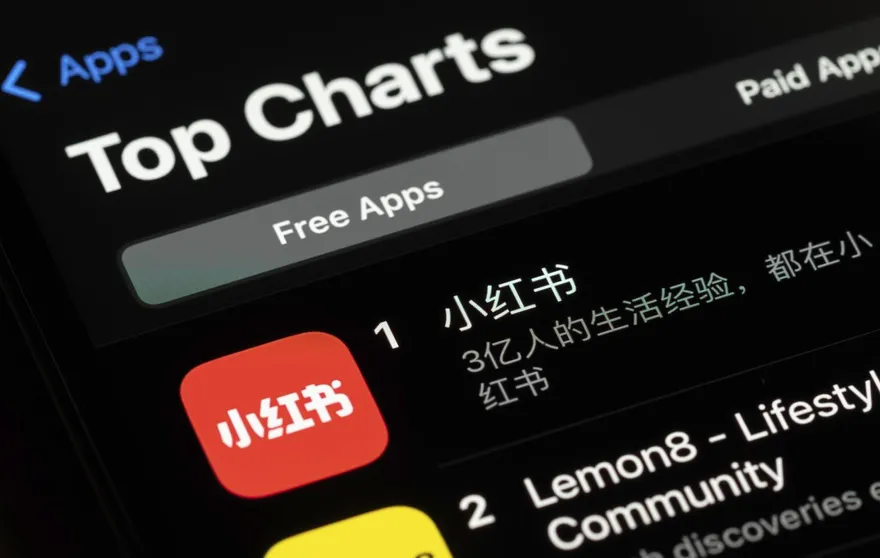 蔣德綱/小紅書　綠大輸