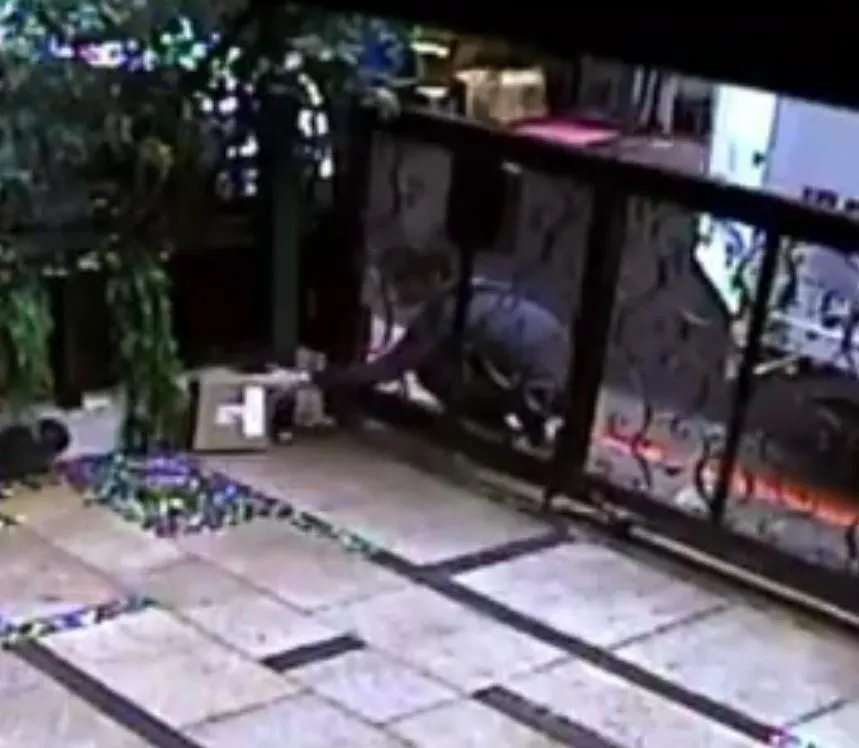 影/公審司機沒耐心！不滿貨物被拋進門　全網卻一面倒