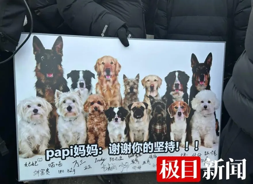 首例！北京「毛孩」連環毒殺案　惡男害死鄰居9狗一審判4年