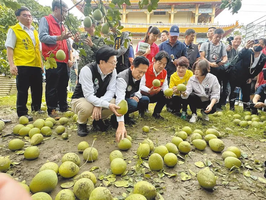 扯！傳綠委動員挺林俊憲嗆「沒幫忙下次別談經費」 截圖曝光