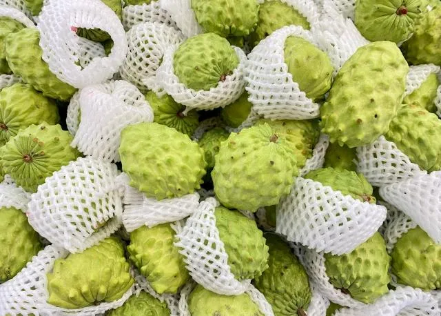 鳳梨釋迦營養價值驚人！膳食纖維是蘋果2倍「鎂含量高7倍」