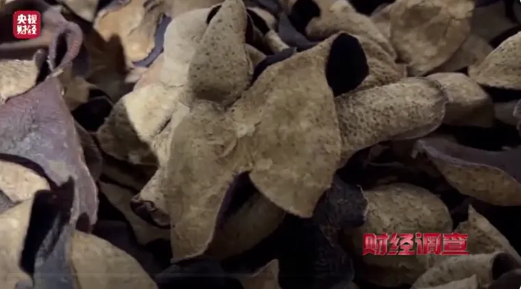 陸「陳皮之鄉」遭踢爆造假　一年貨速成賣5年價、8成為外地貨