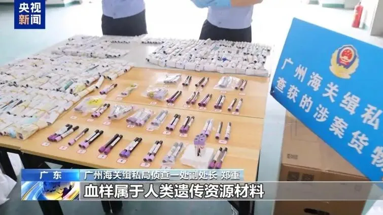 陸破獲特大走私孕婦血液產業鏈　10萬人份流境外、獲利1.3億