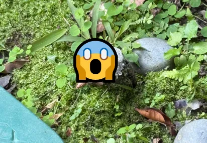 雜草堆冒出「三指斷手」！網嚇：快報警　竟是電線搞烏龍