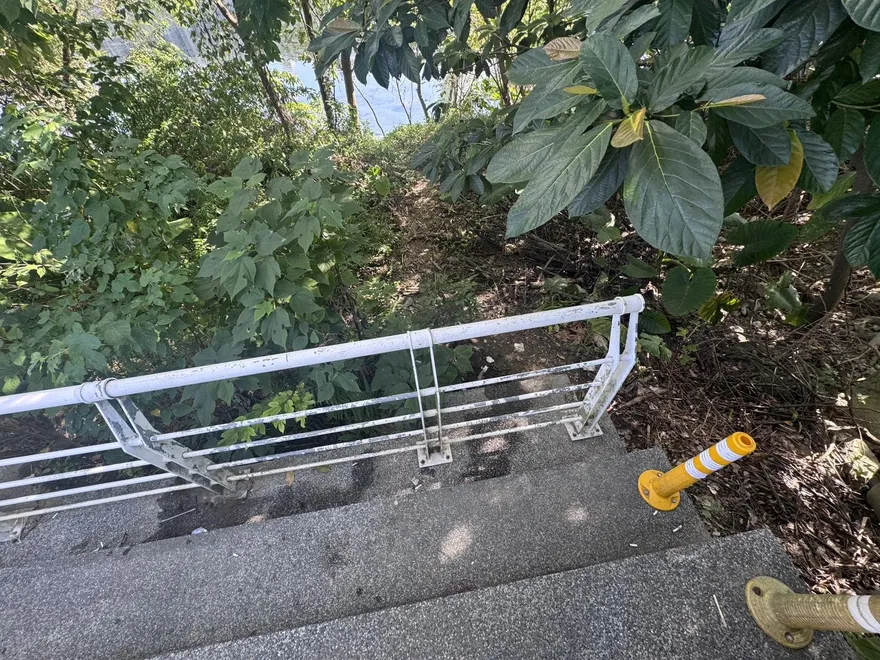 新店陽光橋下爆慘案！情侶倒臥「1死1命危」