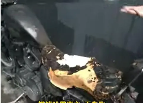 獨/張文聲東擊西？哈雷機車遭焚毀　車主用餐又遇無差別攻擊