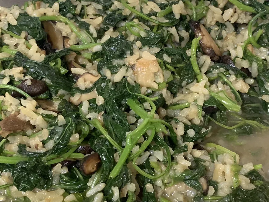 看到「黑甜菜粥料理」想起阿嬤　好多人都超愛這一味