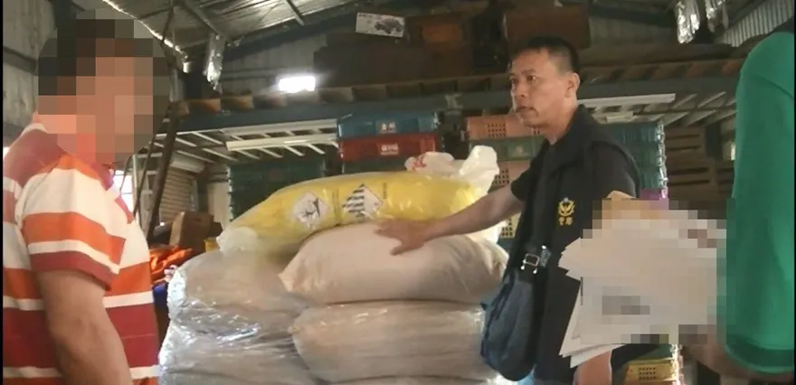 狡猾山老鼠盜肖楠木「製香粉海削百萬」　查扣456公斤贓物